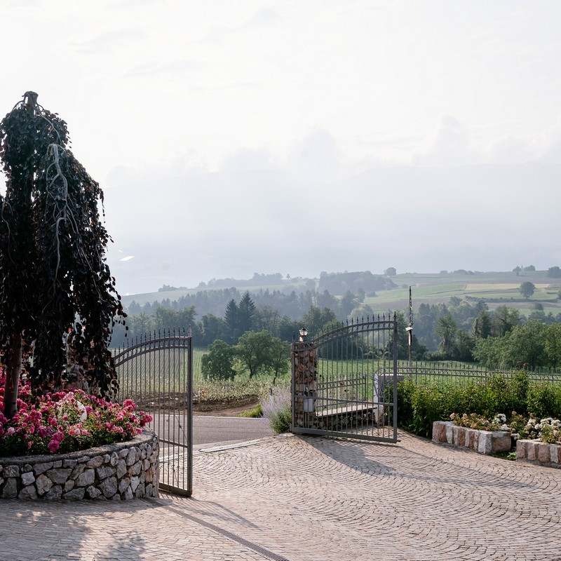Azienda Agricola Maso Paradiso di Pederzolli Diego | Azienda agricola