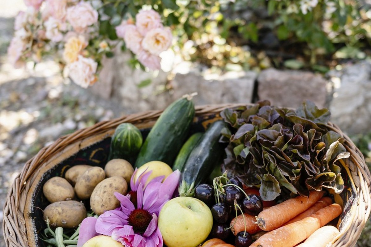 Azienda Agricola Maso Paradiso di Pederzolli Diego | I prodotti