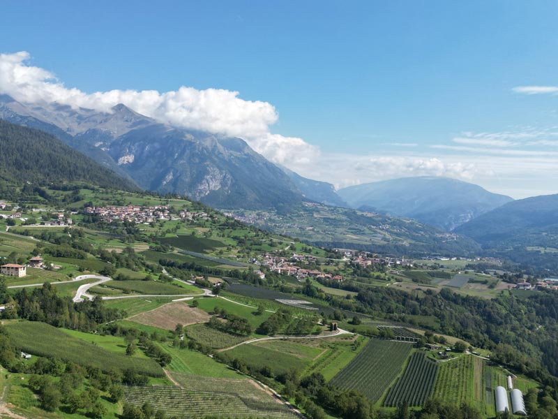 Azienda agricola Maso Trentino a conduzione famigliare. Coltivazioni biologhiche per la produzione di prodotti genuini nel rispetto della natura 