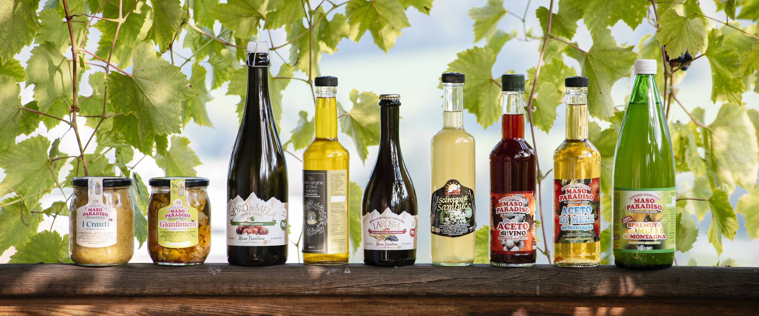 Azienda agricola Maso Trentino a conduzione famigliare. Coltivazioni biologhiche per la produzione di prodotti genuini nel rispetto della natura  Azienda Agricola Maso Paradiso di Pederzolli Diego | Olio