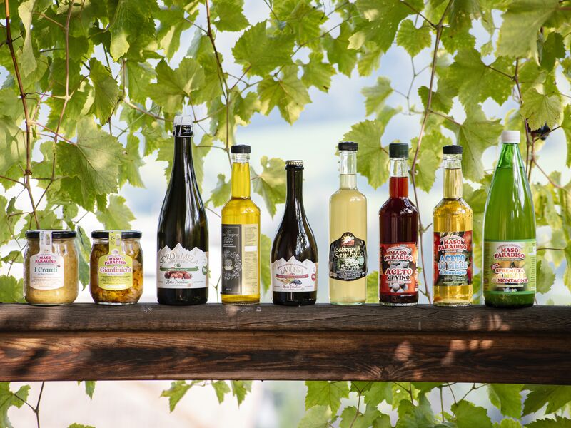 Azienda agricola Maso Trentino a conduzione famigliare. Coltivazioni biologhiche per la produzione di prodotti genuini nel rispetto della natura  Azienda Agricola Maso Paradiso di Pederzolli Diego | Mela e sciroppi